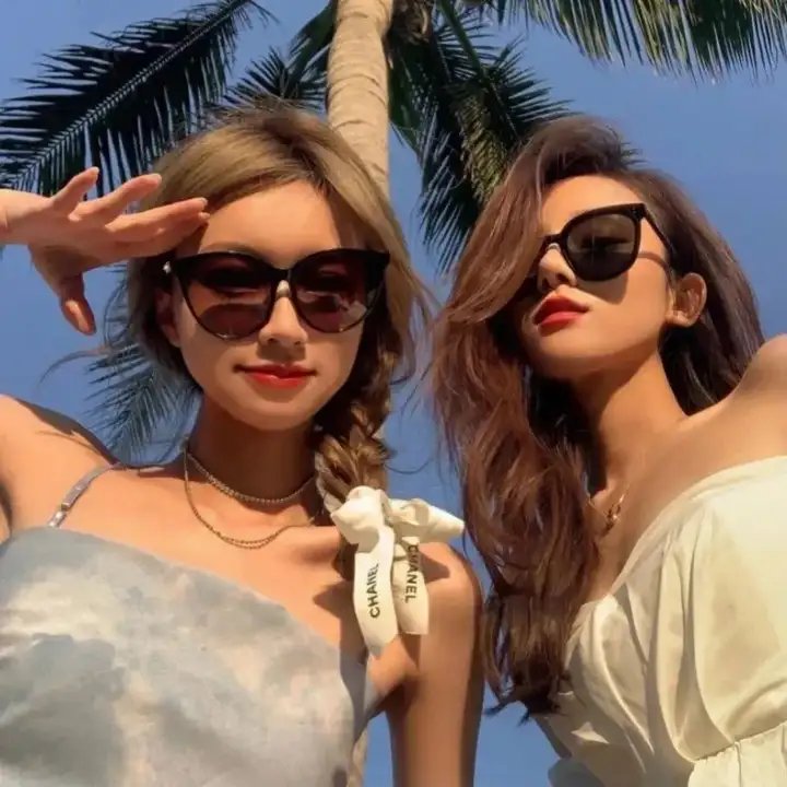 南布朗克斯的骑士